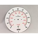 Wika Dial Only, 200 PSI and 460 Feet of Water for 23X.34 Gauge