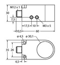 Turck Inductive Sensor, Ring Sensor (BI30R-W30-DAP6X-H1141)