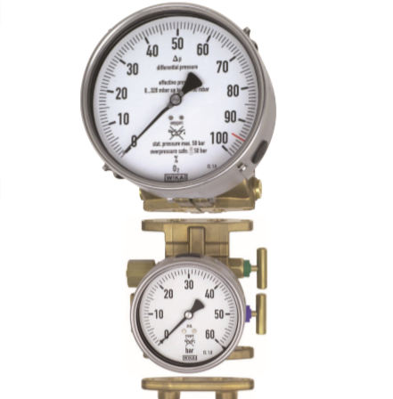 Wika Model: 712.15.160 D/P Cryo Gauge, copper alloy, NS 160, Switch for level measurement: Magnetic snap action contact 858.1