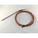 Watlow 100 Ohm Platinum 3 Wire Rtd, 1/4" Diameter, 6" Long 316SS Sheath, 20' Leads