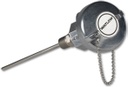 Watlow Rtd Sensor Style RR Style Rtd w/Double Fitting