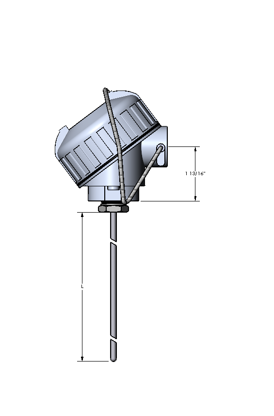 Watlow RR Style RTD, 5.5" Length
