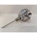 Watlow Rr Series Rtd w/Double Fitting