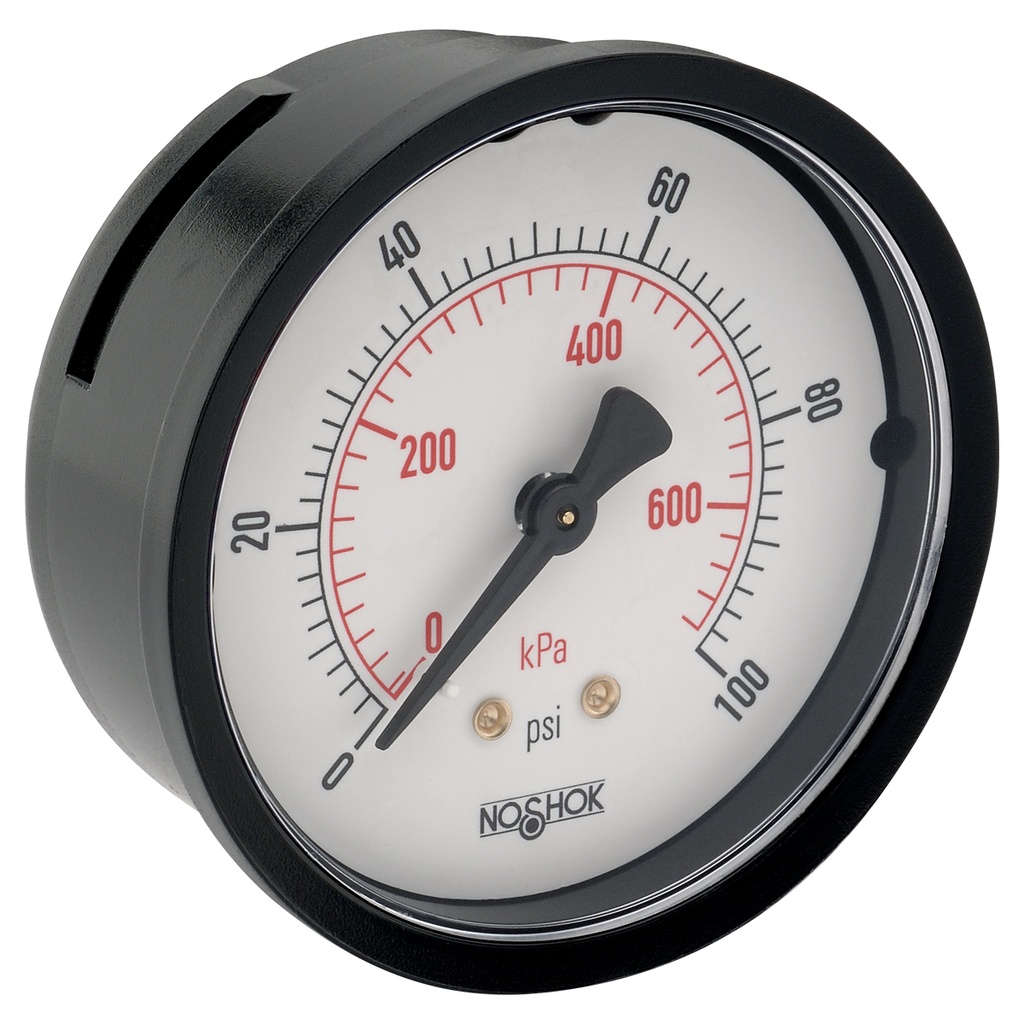 DETAILS Pressure Gauge, 2.5" ABS Case, Copper Alloy Internals, 1500 psi/kPa, 1/4 NPT Back Conn, Chrome Front Flange