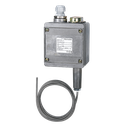 Barksdale Remote Mount Temperature Switch, Dual switch (2 SPDT), NEMA 4 Enclosure, 150/350F range, 6FT Capillary, 304 SS Wetted Material, 302 SS Armor