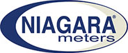 Niagara - N100 Nutating Disc Meter / Teflon Gasket for Iron Body