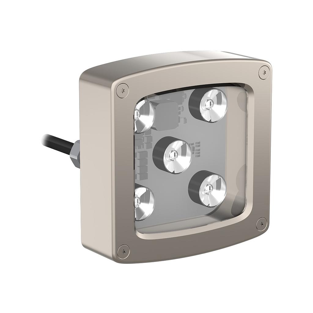 WLC90 Work Light (WLC90WGL30R)
