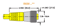 [100018757] Turck Actuator and Sensor Cordset, Connection Cable (RKM 66-50M)