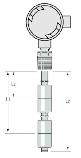 [W1098069] LS-700 Level Switch LS-700-2C-SS-SS-SPST-020-GR2-2