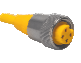[100012518] Turck Actuator and Sensor Cordset, Connection Cable (WSM 20-8M)