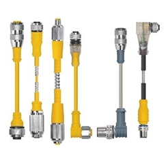 [U-39876] Turck Actuator and Sensor Cordset, Extension Cordset (RKSV 10T-8-RSSV 10T)